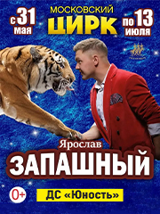 Цирк Ярослава Запашного г. Челябинск