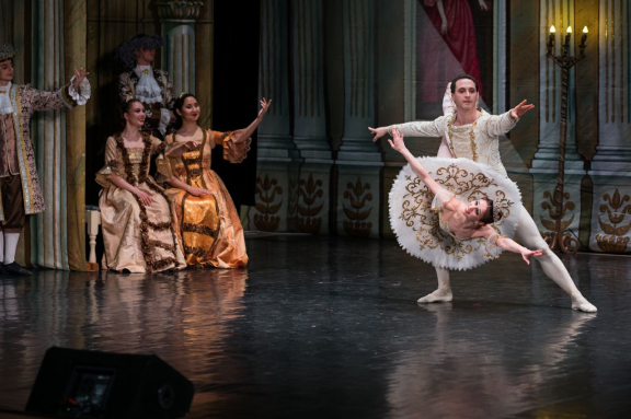 Балет "Спящая красавица"