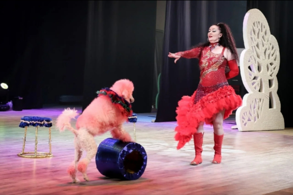 &TScy;&icy;&rcy;&kcy;&ocy;&vcy;&ocy;&iecy; &shcy;&ocy;&ucy; "&Zcy;&vcy;&iocy;&zcy;&dcy;&ncy;&ycy;&jcy; &kcy;&acy;&lcy;&iecy;&jcy;&dcy;&ocy;&scy;&kcy;&ocy;&pcy;"